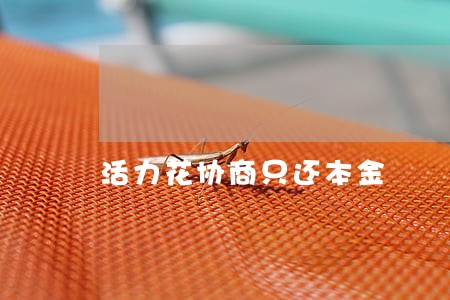 活力花协商只还本金 活力花协商只还本金