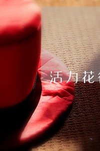 活力花征信逾期记录多久消除