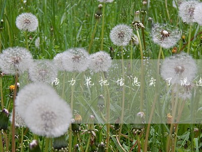 活力花把信息卖了说逾期 活力花把信息卖了说逾期