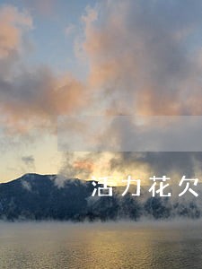 活力花欠款逾期不准备还了 活力花欠款逾期不准备还了