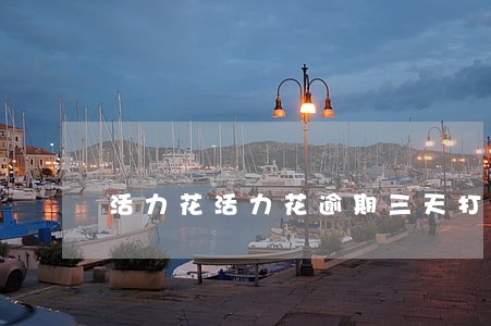 活力花活力花逾期三天打电话