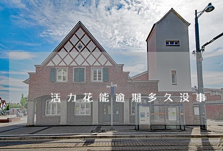 活力花能逾期多久没事 活力花能逾期多久没事