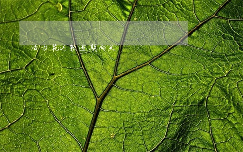 活力花还款逾期两天 活力花还款逾期两天
