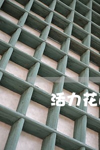 活力花逾期3天后续流程 活力花逾期3天后续流程