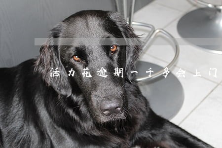 活力花逾期一千多会上门吗 活力花逾期一千多会上门吗