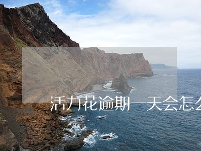 活力花逾期一天会怎么样 活力花逾期一天会怎么样