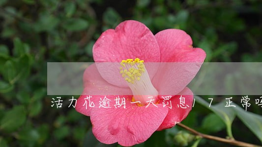 活力花逾期一天罚息17正常吗 活力花逾期一天罚息17正常吗