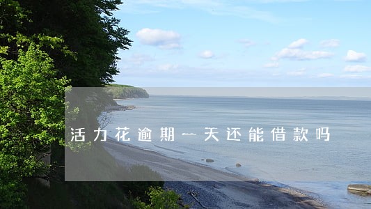 活力花逾期一天还能借款吗