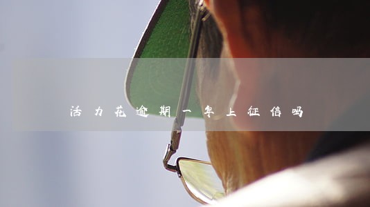 活力花逾期一年上征信吗 活力花逾期一年上征信吗