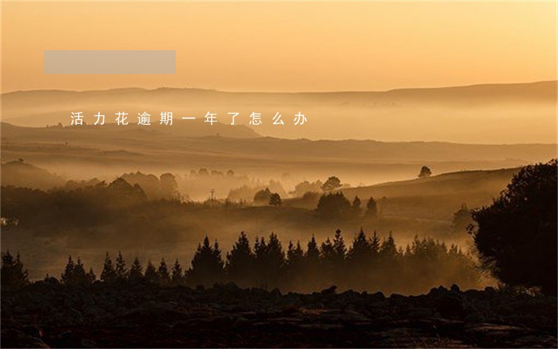 活力花逾期一年了怎么办 活力花逾期一年了怎么办
