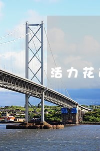 活力花逾期一年咋办 活力花逾期一年咋办