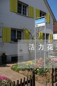 活力花逾期一年逾期费能减吗