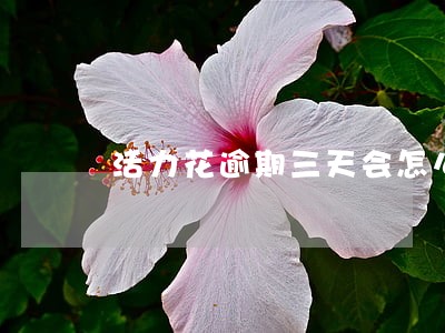 活力花逾期三天会怎么样 活力花逾期三天会怎么样