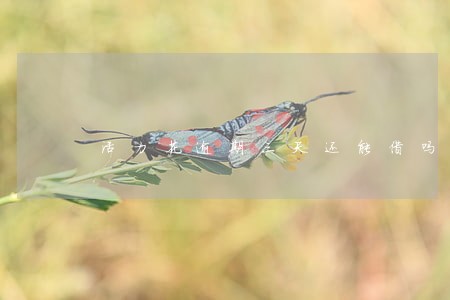 活力花逾期三天还能借吗 活力花逾期三天还能借吗
