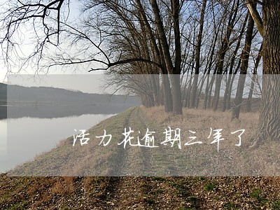 活力花逾期三年了
