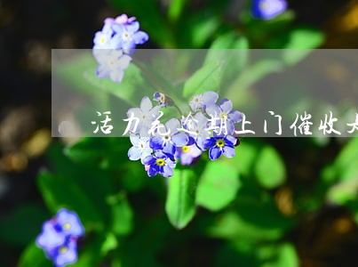 活力花逾期上门催收是真的吗 活力花逾期上门催收是真的吗