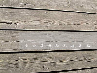 活力花逾期不接电话 活力花逾期不接电话