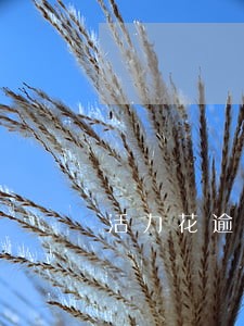 活力花逾期两天会怎么样 活力花逾期两天会怎么样