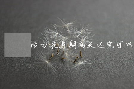 活力花逾期两天还完可以再借吗 活力花逾期两天还完可以再借吗