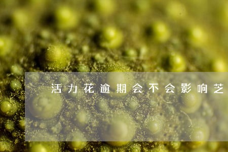 活力花逾期会不会影响芝麻分