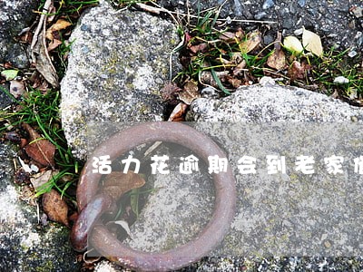 活力花逾期会到老家催收吗 活力花逾期会到老家催收吗
