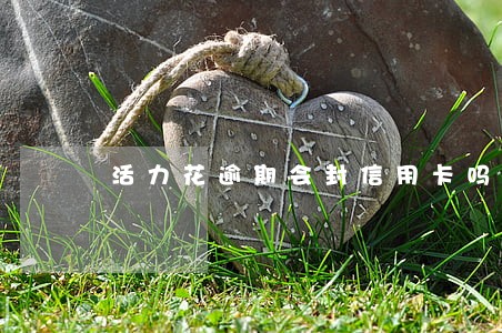 活力花逾期会封信用卡吗 活力花逾期会封信用卡吗