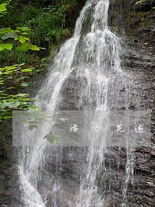 活力花逾期会立案吗