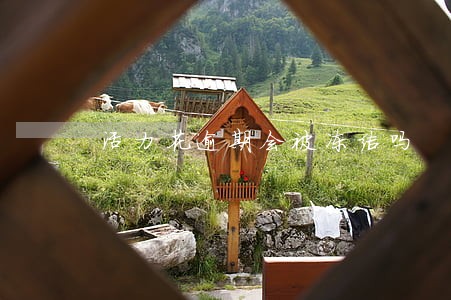 活力花逾期会被冻结吗 活力花逾期会被冻结吗