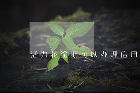 活力花逾期可以办理信用卡吗 活力花逾期可以办理信用卡吗
