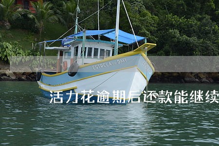 活力花逾期后还款能继续借款吗 活力花逾期后还款能继续借款吗