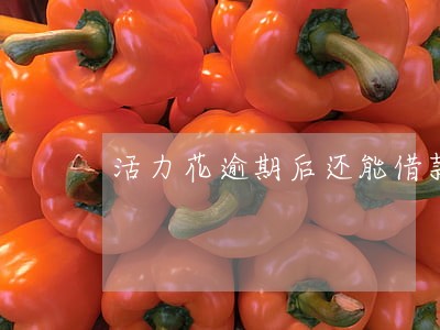 活力花逾期后还能借款吗 活力花逾期后还能借款吗