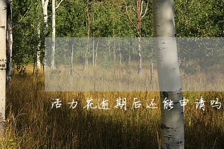 活力花逾期后还能申请吗 活力花逾期后还能申请吗