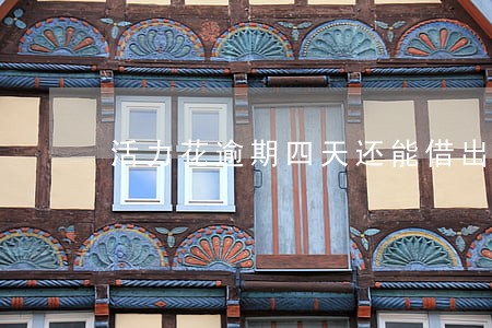 活力花逾期四天还能借出来吗 活力花逾期四天还能借出来吗