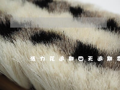 活力花逾期四天逾期费多少 活力花逾期四天逾期费多少