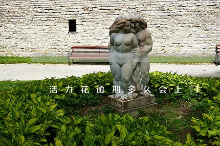 活力花逾期多久会上门