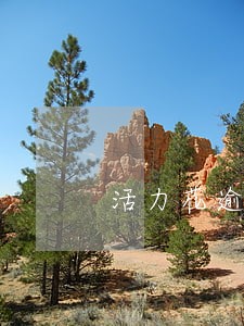 活力花逾期多久会爆通讯录 活力花逾期多久会爆通讯录