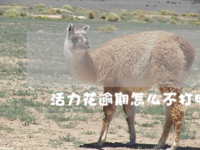 活力花逾期怎么不打电话 活力花逾期怎么不打电话