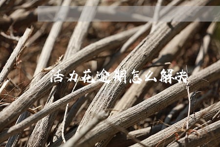 活力花逾期怎么解决 活力花逾期怎么解决