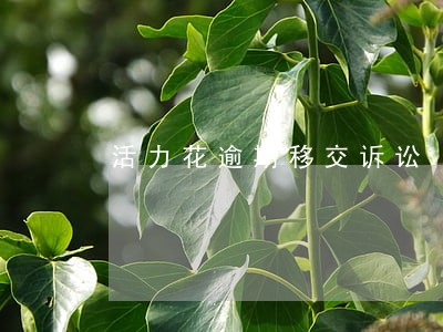 活力花逾期移交诉讼 活力花逾期移交诉讼