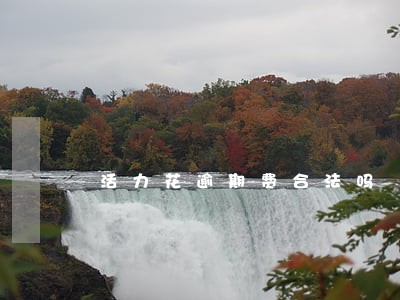 活力花逾期费合法吗 活力花逾期费合法吗