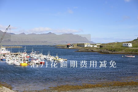 活力花逾期费用减免 活力花逾期费用减免