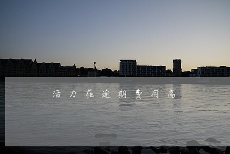 活力花逾期费用高 活力花逾期费用高