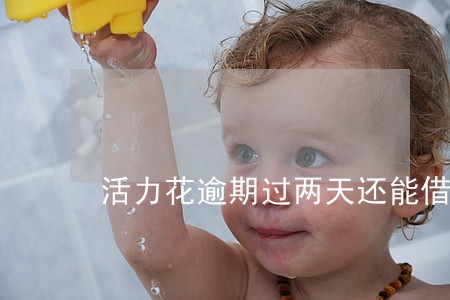 活力花逾期过两天还能借吗 活力花逾期过两天还能借吗