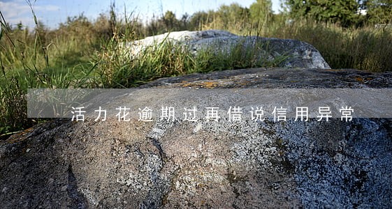 活力花逾期过再借说信用异常