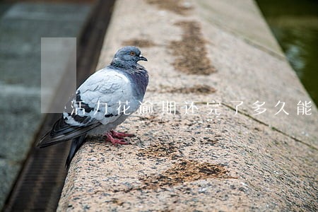 活力花逾期还完了多久能恢复 活力花逾期还完了多久能恢复
