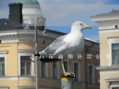 活力花逾期还款后果 活力花逾期还款后果