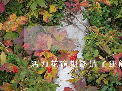 活力花逾期还清了还能借吗 活力花逾期还清了还能借吗