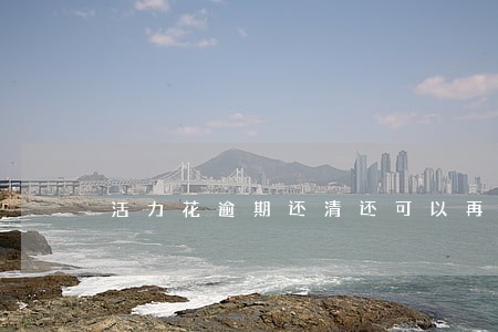 活力花逾期还清还可以再借吗