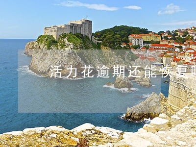活力花逾期还能恢复吗 活力花逾期还能恢复吗
