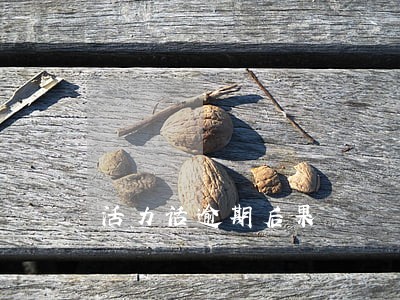 活力话逾期后果 活力话逾期后果